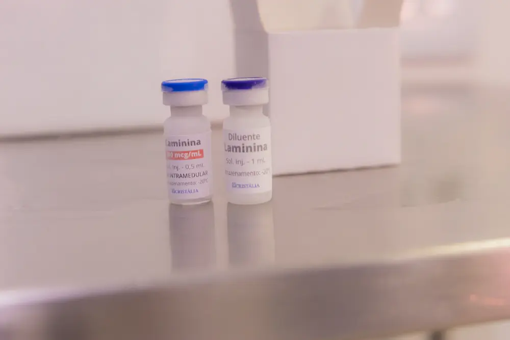 O que é a polilaminina, substância aplicada pela primeira vez no HU-UEPG?