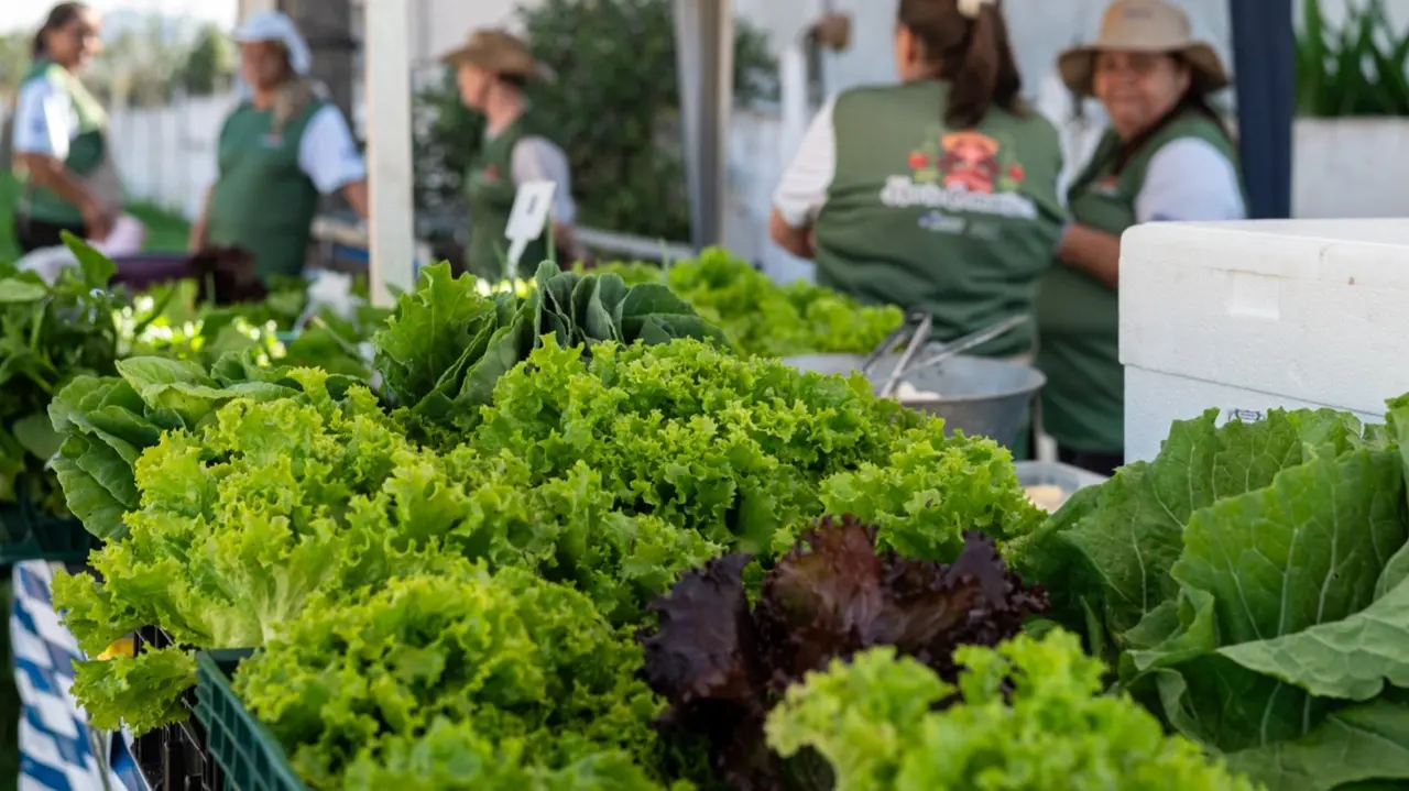 Chamamento prevê R$ 500 mil para compra de alimentos da agricultura familiar
