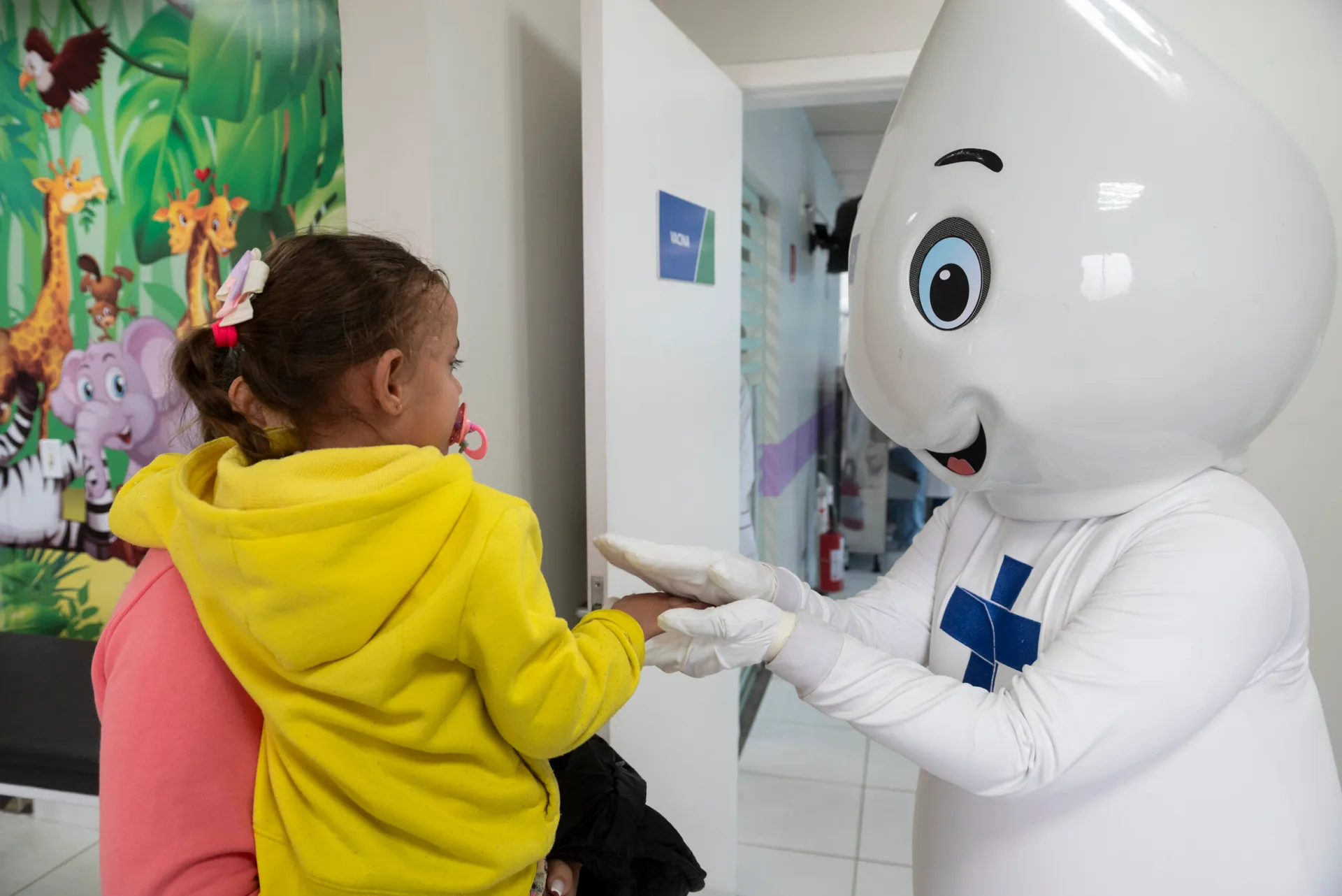 PG abre 28 locais para vacinação contra gripe neste sábado