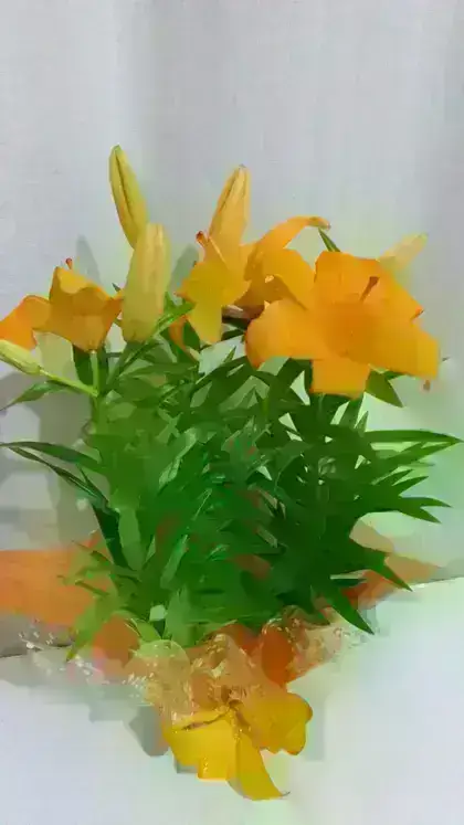 Lírio Sem Perfume / Laranja / 01 Unidade