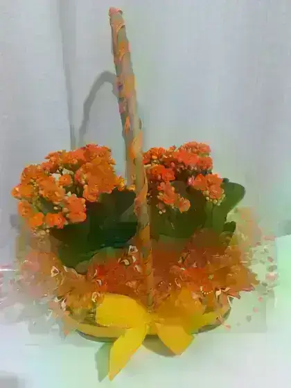 Calandiva na Cesta / Laranja / 02 Unidades