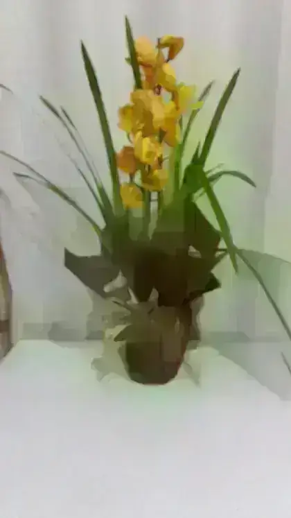 Orquídeas / Amarelas / 02 Unidades