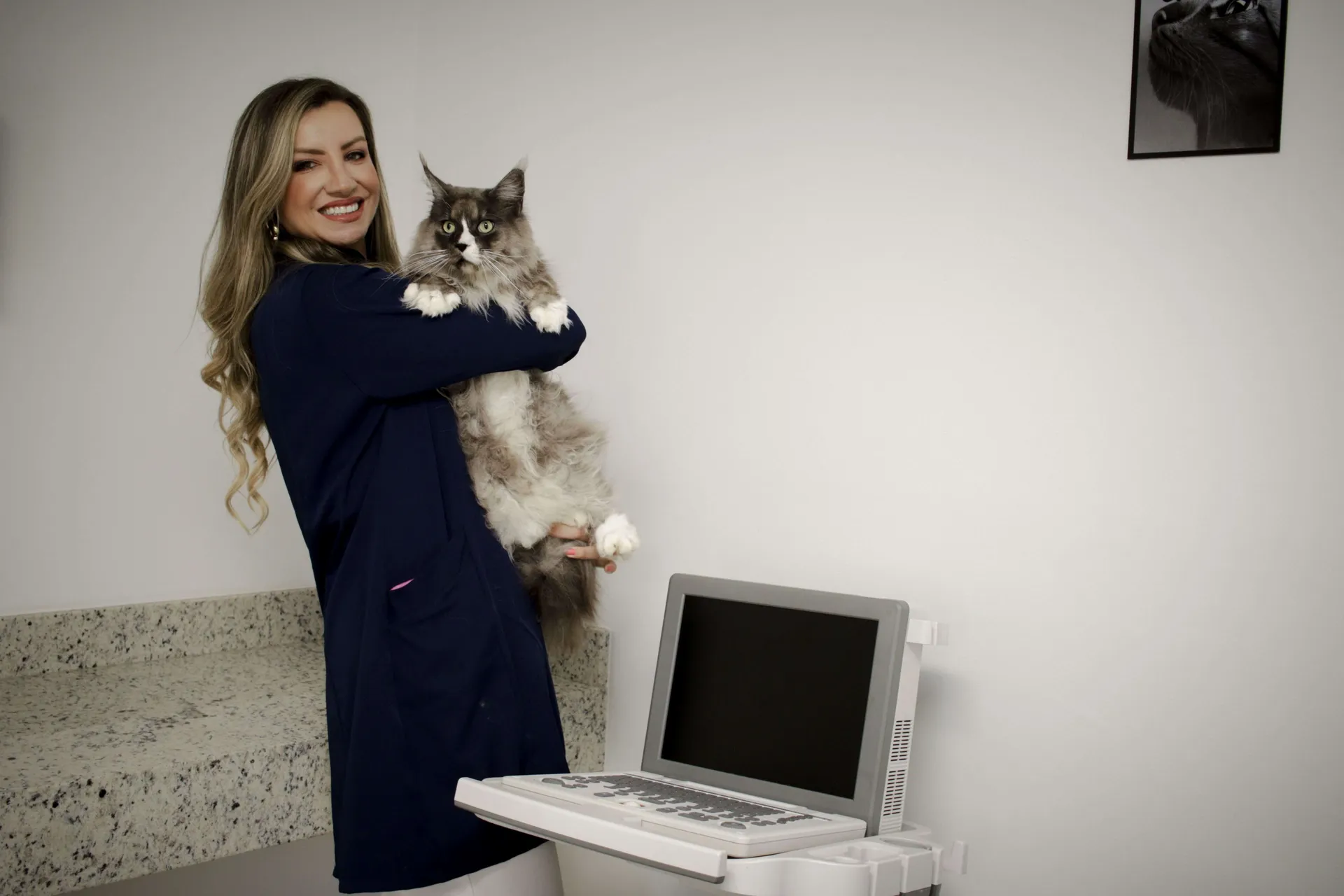 Consultas para gatos