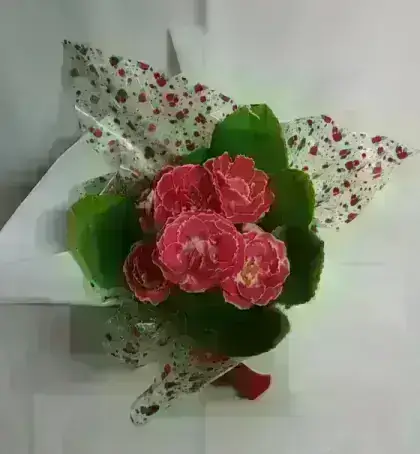 Vaso de Gloxinia - 01 Unidade