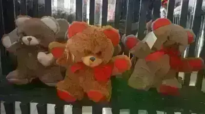 Urso de Pelúcia