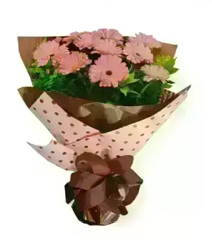 Gérberas Rosas