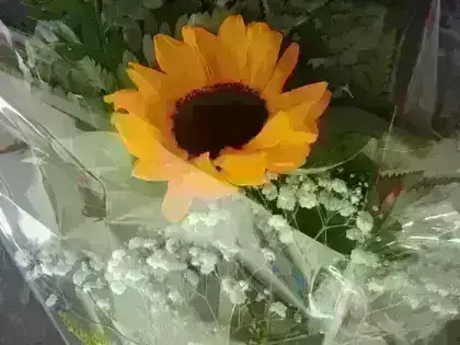 Ramalhete de Girassol