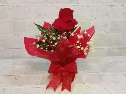 Arranjo com 1 Rosa Dobrada Vermelha
