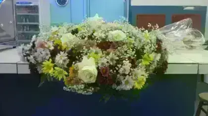 Americano Rosas Abertas Brancas