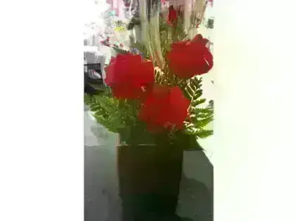 Ikebana de Rosas Dobradas no Cachepot - 3 Rosas
