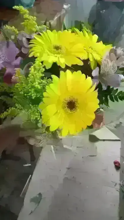 Gerberas Ramalhete