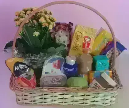 Receba As Flores Que Lhe Dou