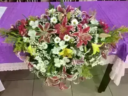 Americano Lírio