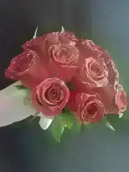Buquê de Noiva 12 Rosas Vermelhas