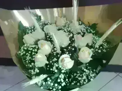 Buque de Rosas Champanhe - 12 Rosas