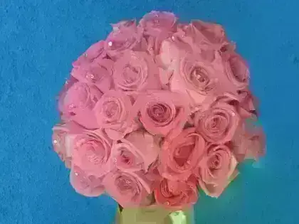 Buquê Noiva Rosas Rosa - 36 Rosas