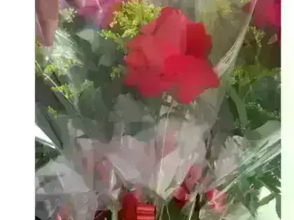 Rosa Dobrada Manualmente