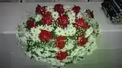 Americano Rosas Abertas