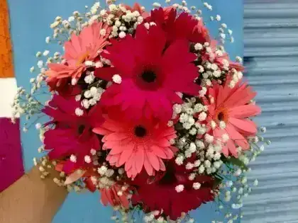 Buquê de Gérbera em Duas Cores a Escolher
