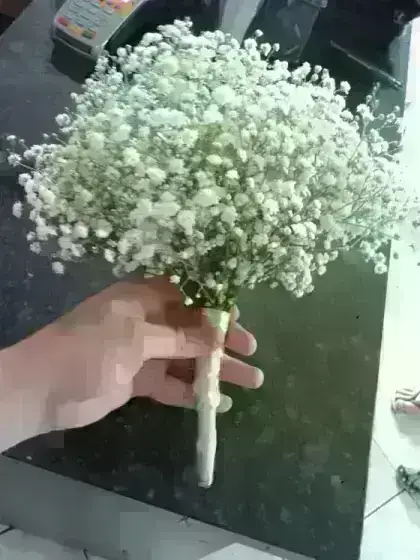 Buquê de Gypsophila