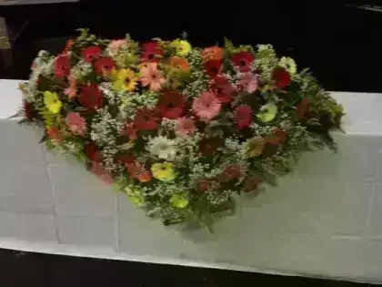 Americano Gerberas