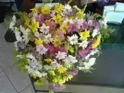 Americano Flor do Campo