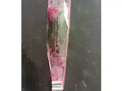 Rosa Unitaria Luxo - Pink