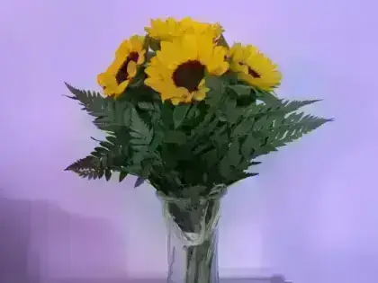 Vaso com Girassois - 6 Girassois