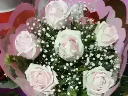 Buquê de Rosas Cor de Rosa - 6 Rosas