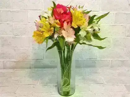 Vaso com Astromelias - Colorido