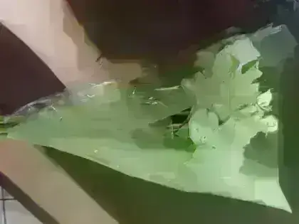 Ramalhete de Astromelias