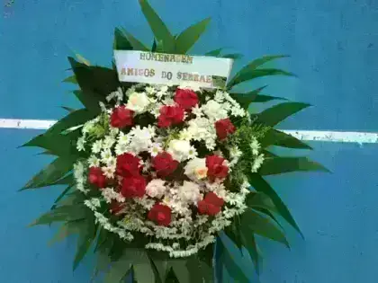 Corbélia Redonda de Rosas Abertas em Tamanho Médio