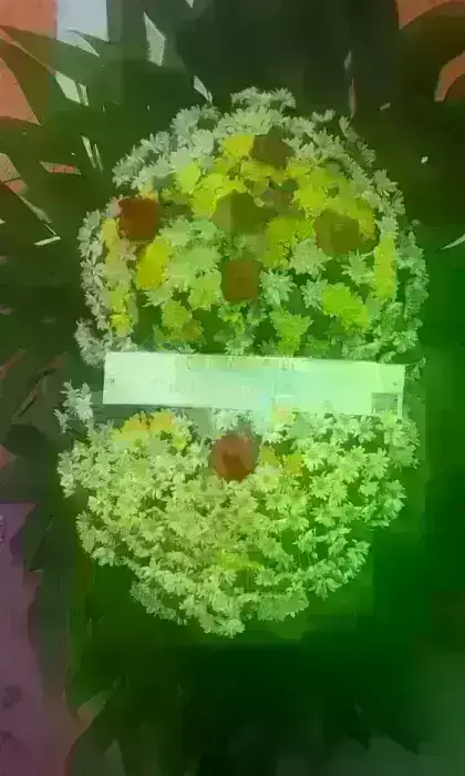 Coroa de Flores do Campo em Tons Amarelos com Rosas Abertas