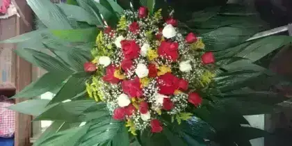 Corbélia Rendonda de Rosas