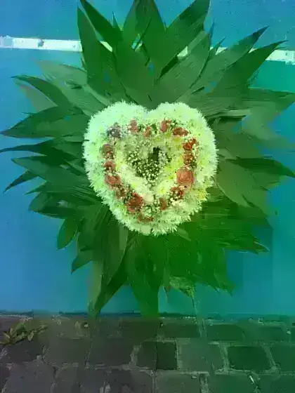 Coração Grande de Xena e Rosas