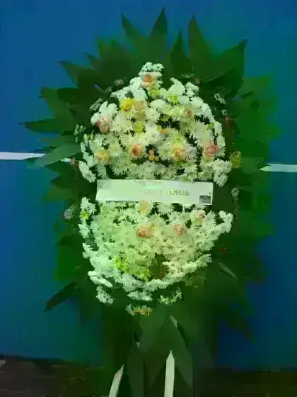 Coroa de Crisantemo e Xena com Rosas Gigante