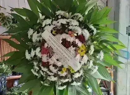 Coroa — Campo e Folhagens