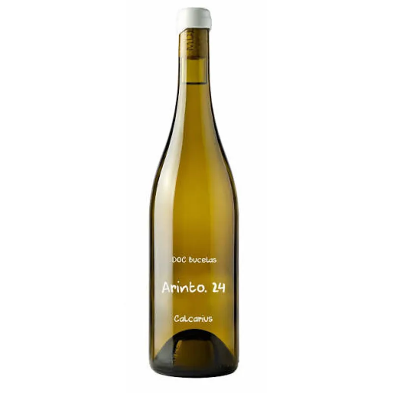ARINTO. 24 QUINTA DA MURTA DOC BUCELAS 2024