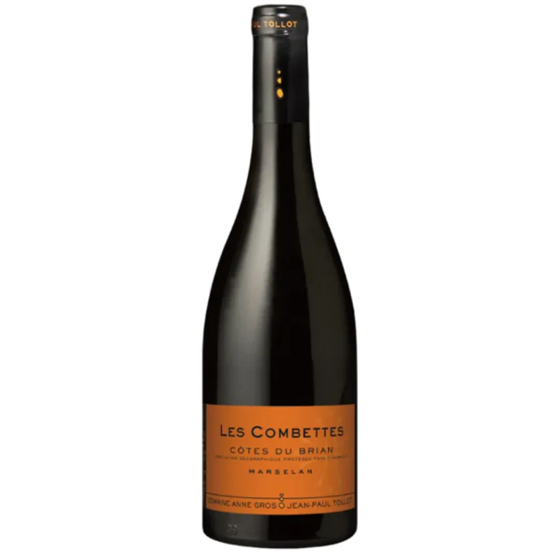 DOMAINE ANNE GROS & JEAN-PAUL TOLLOT LES COMBETTES CÔTES DU BRIAN 2022 750ml