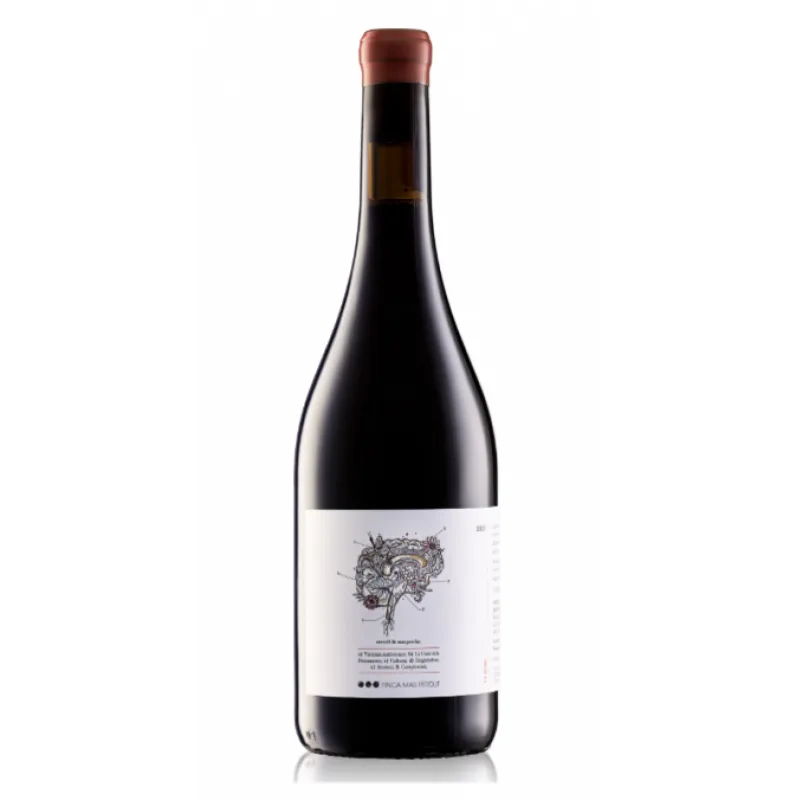 Cervell de Mas Perdut Vinho Tinto Blend Natural